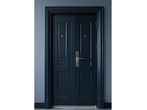Security door