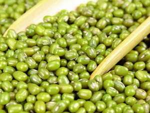 Mungbean